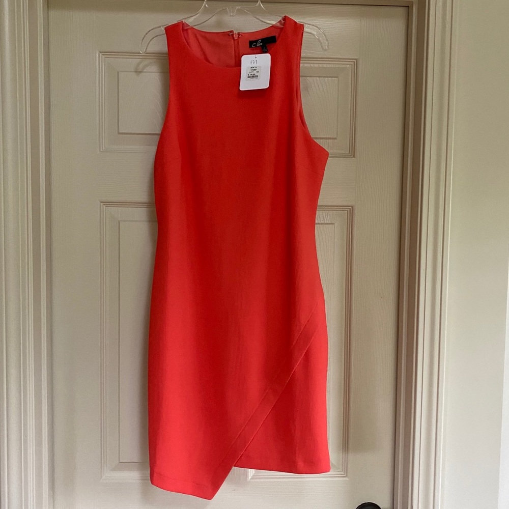 Brand new C. Luce dress